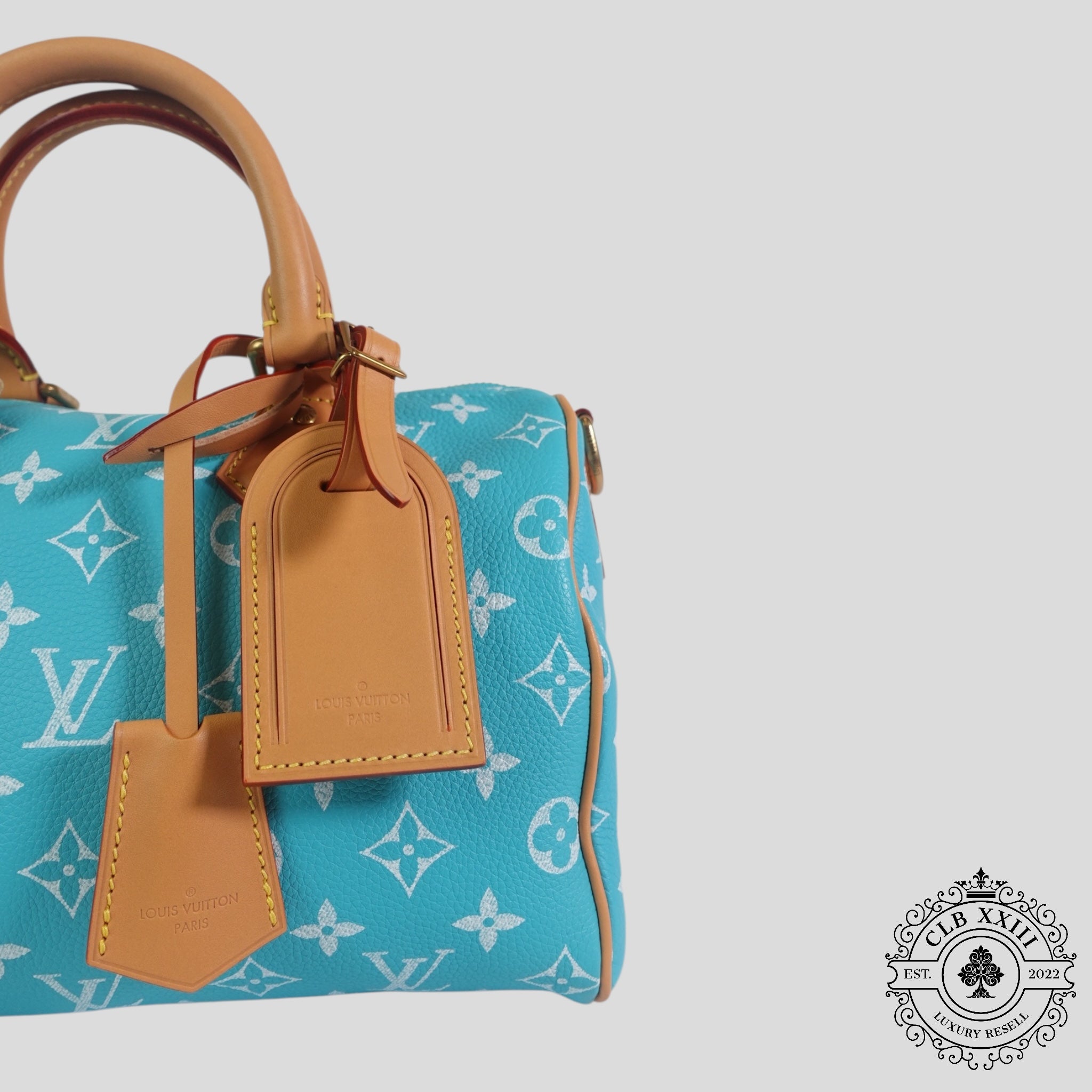 Louis Vuitton Speedy P9 Bandoulière 25 in Turquoise