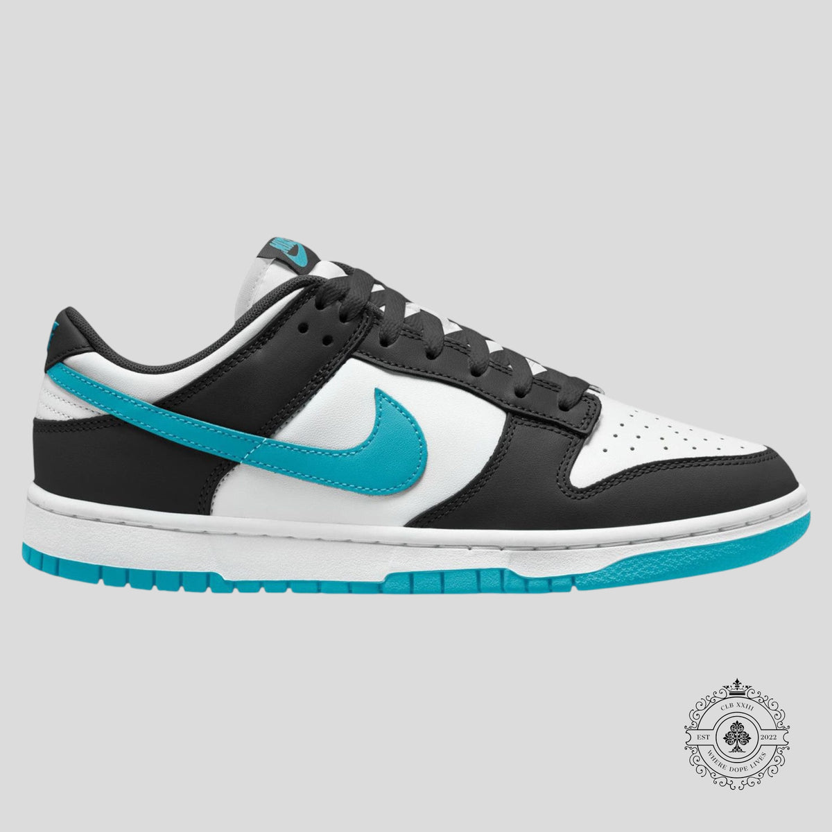 Nike Dunk Low Black Dusty Cactus