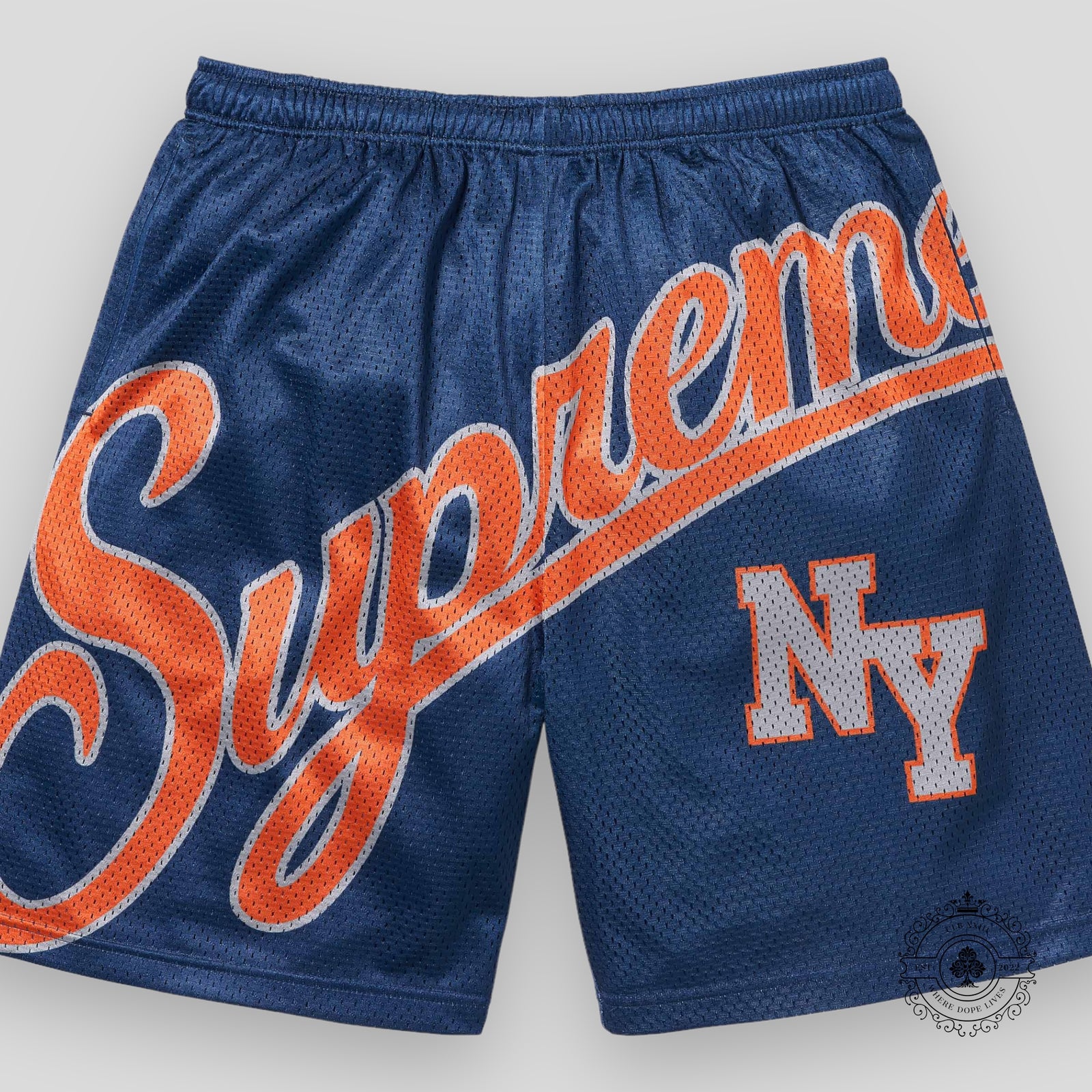 Supreme Big Script Mesh Short in Blue