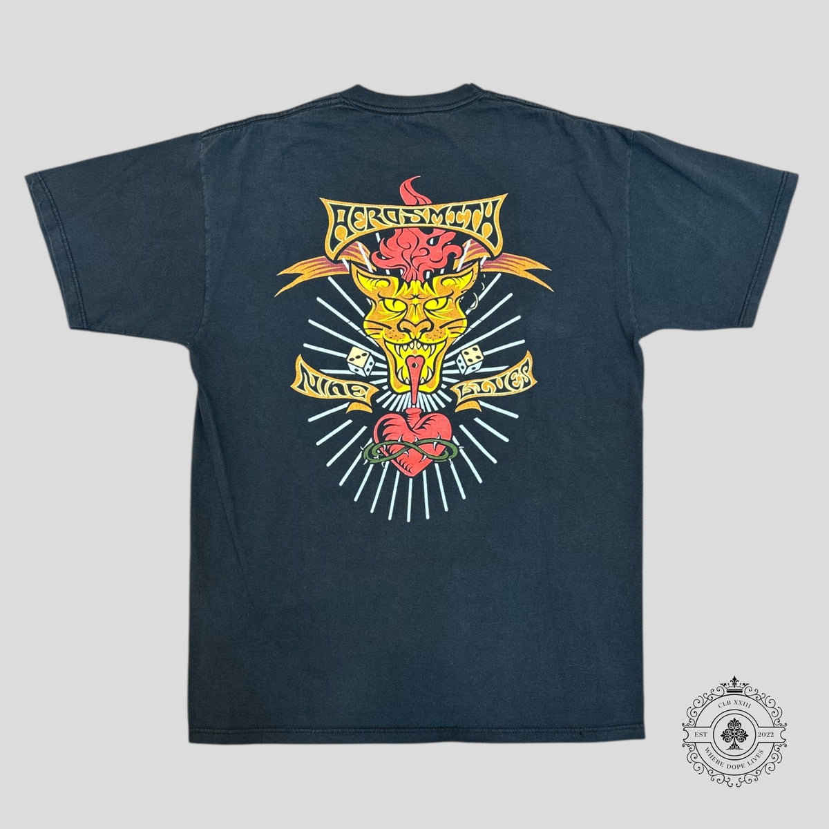 Aerosmith Nine Lives 1997 Vintage Tee in Black