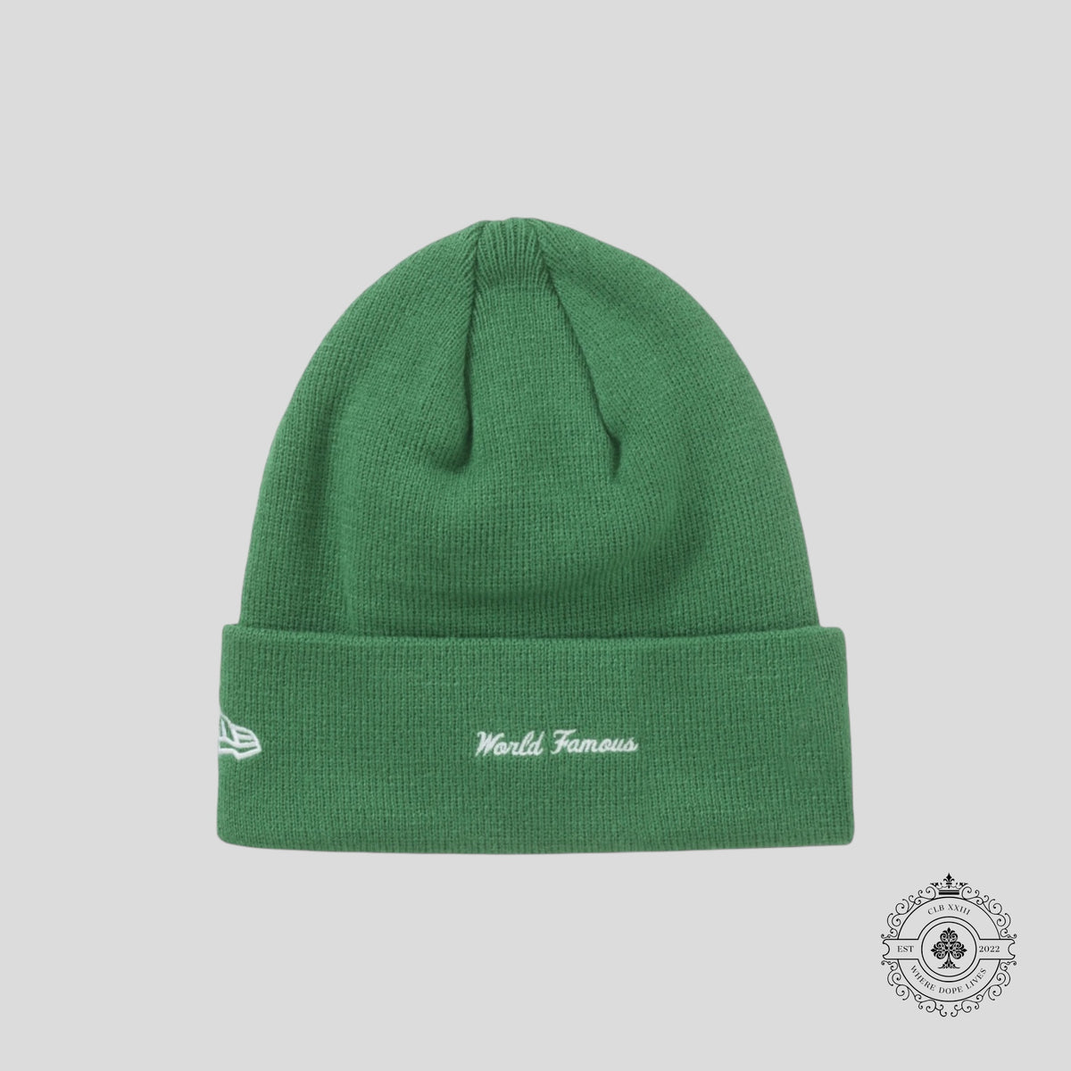 Supreme New Era Box Logo Beanie in Green