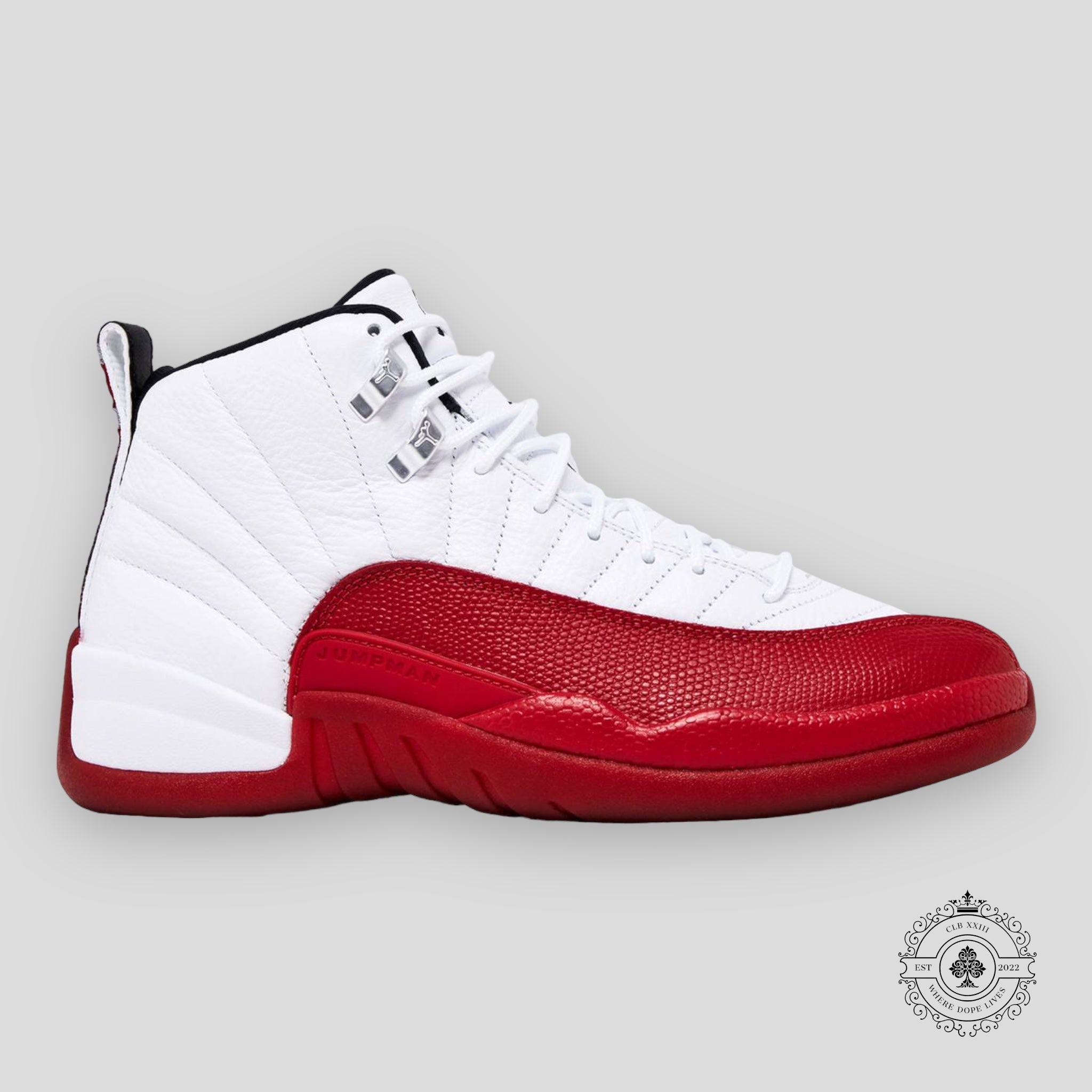 Air Jordan 12 Retro Cherry 2023