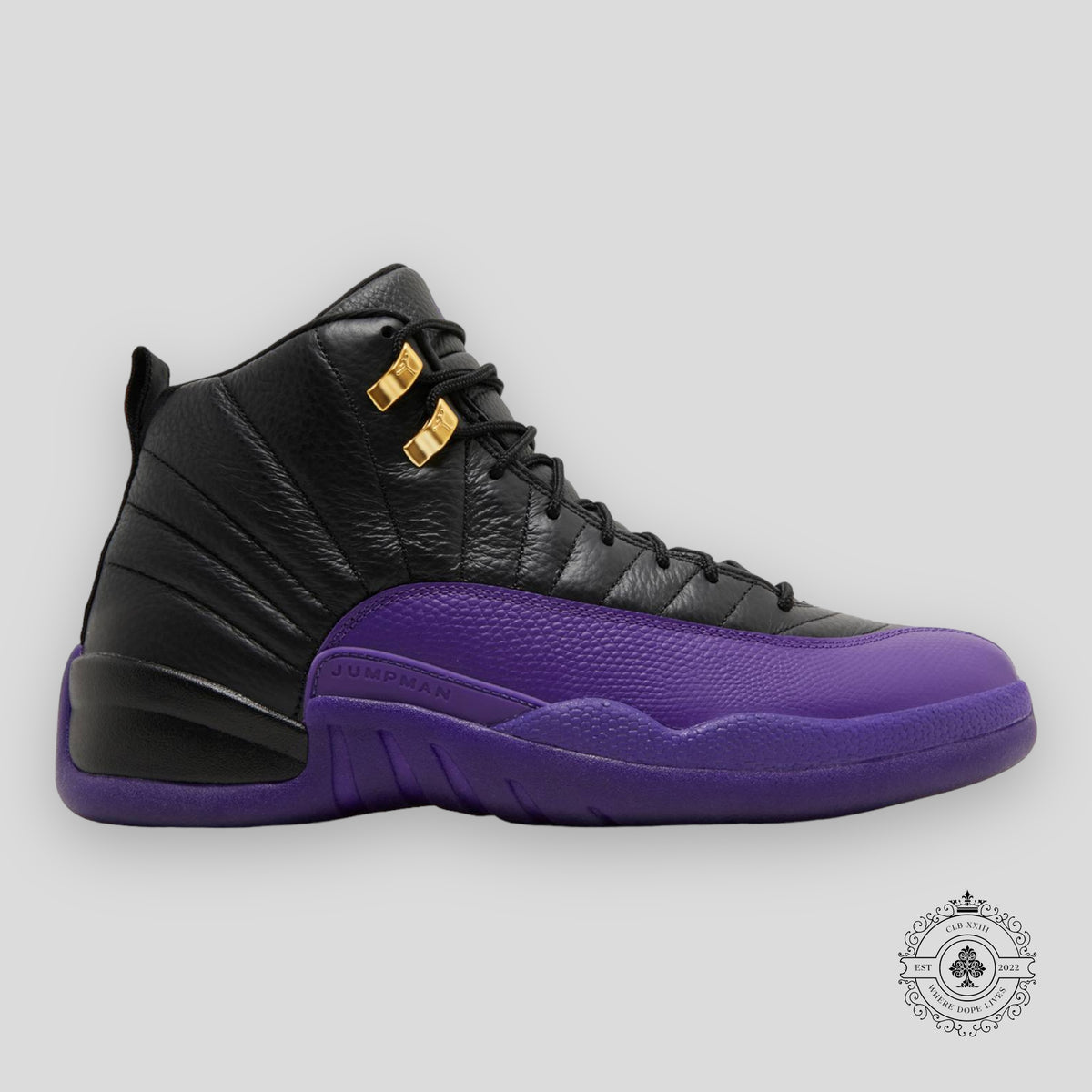 Air Jordan 12 Retro Field Purple