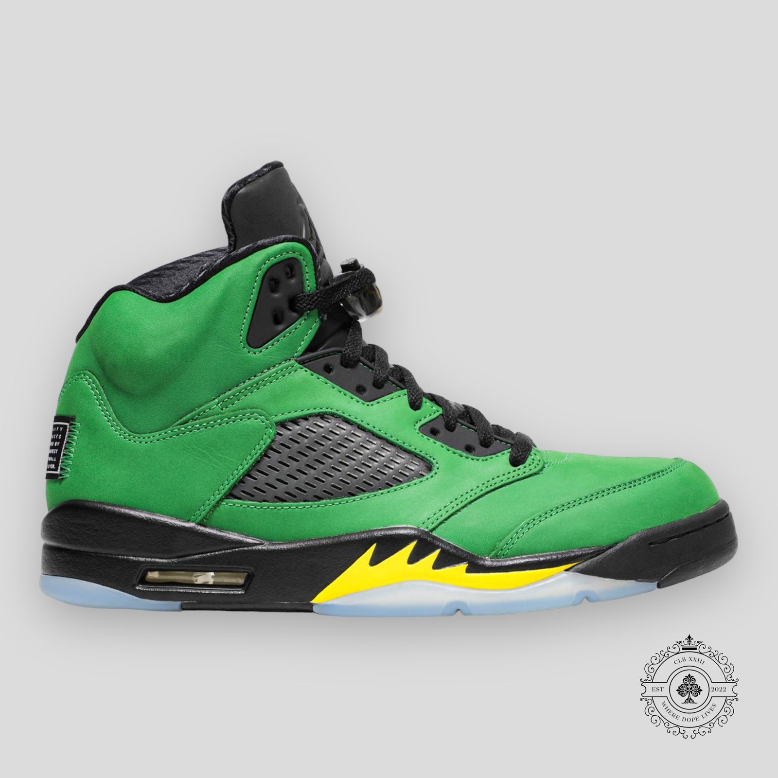 Air Jordan 5 Retro SE Oregon