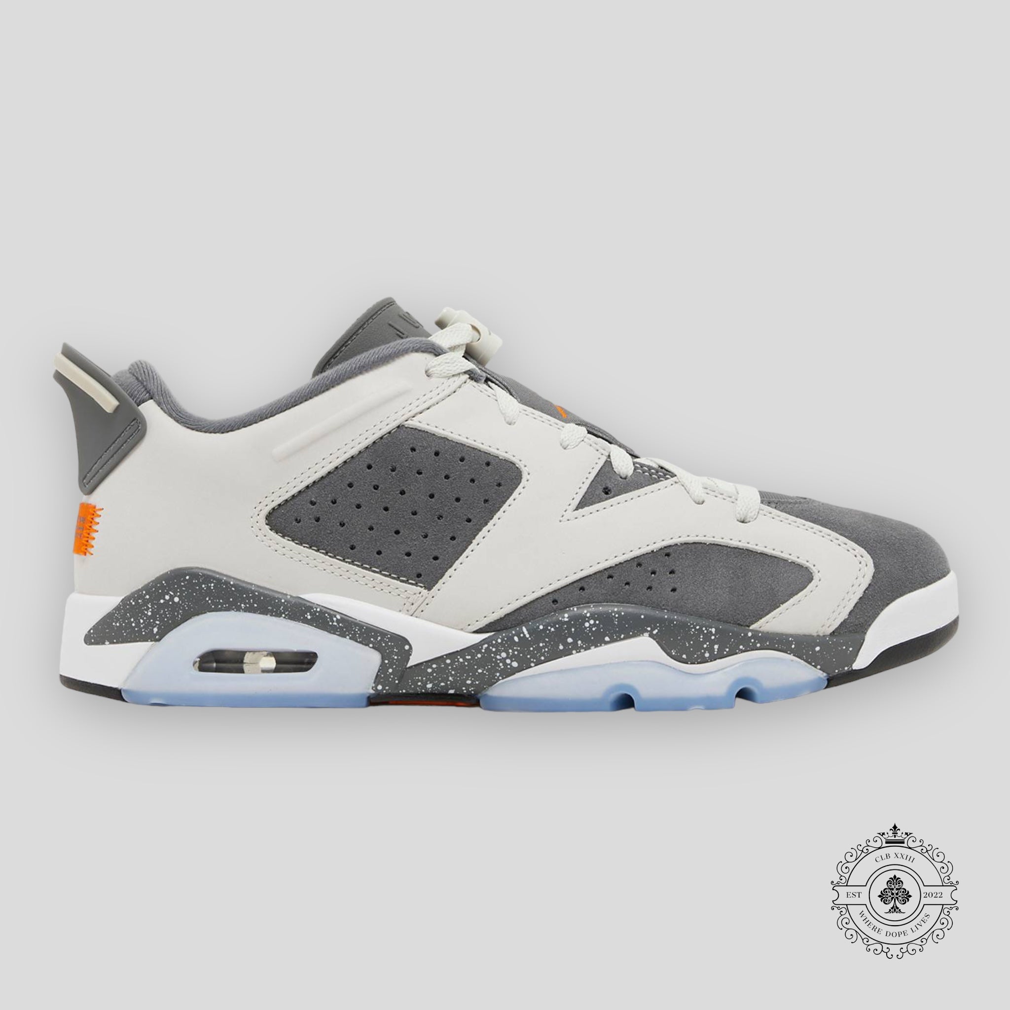Air Jordan 6 Retro Low PSG