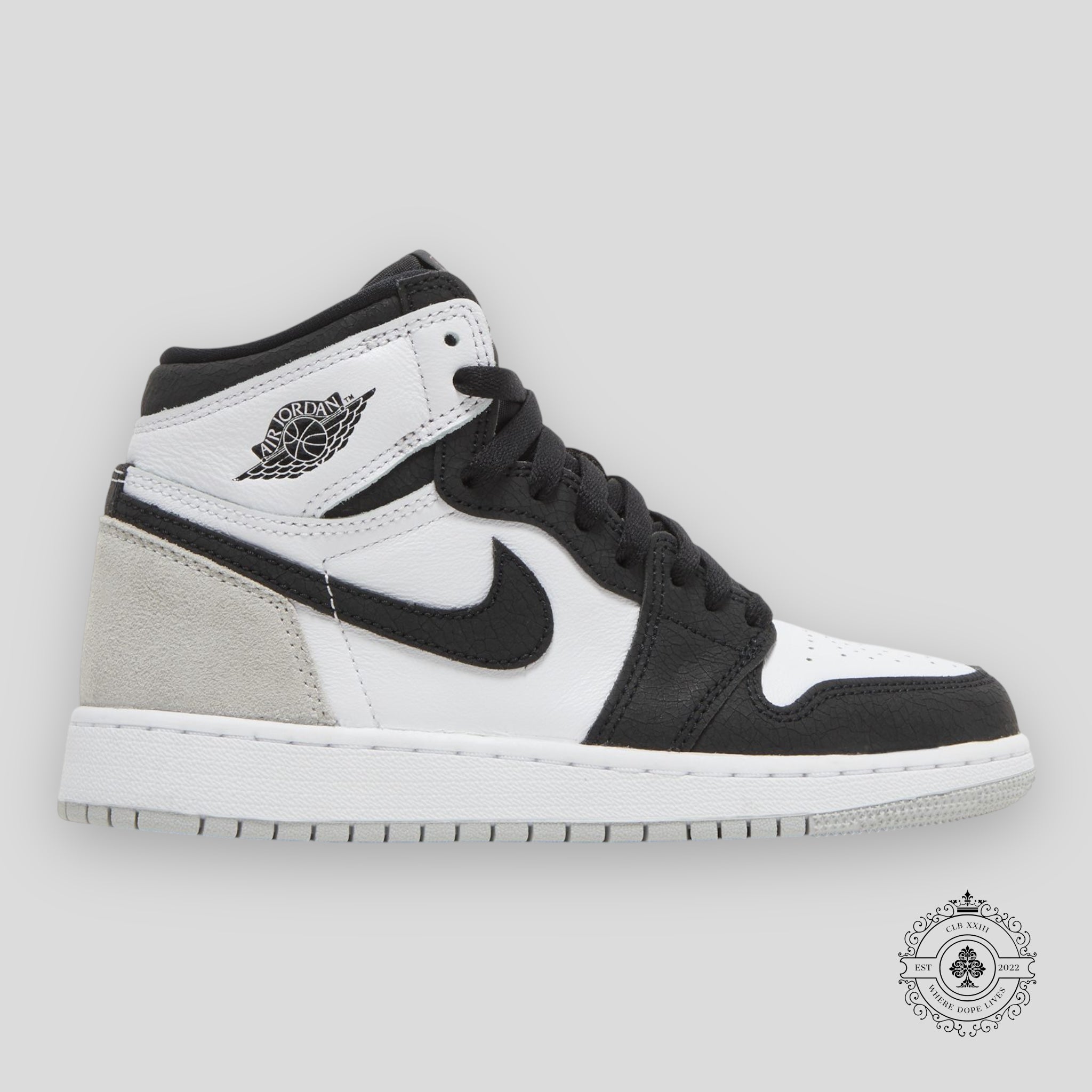 Air Jordan 1 Retro High OG GS Bleached Coral