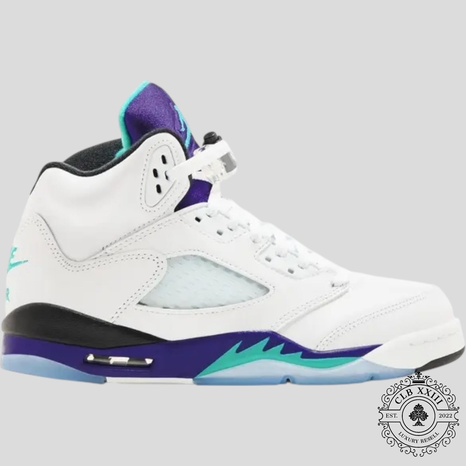 Air Jordan 5 Retro Grape (2025) (GS)