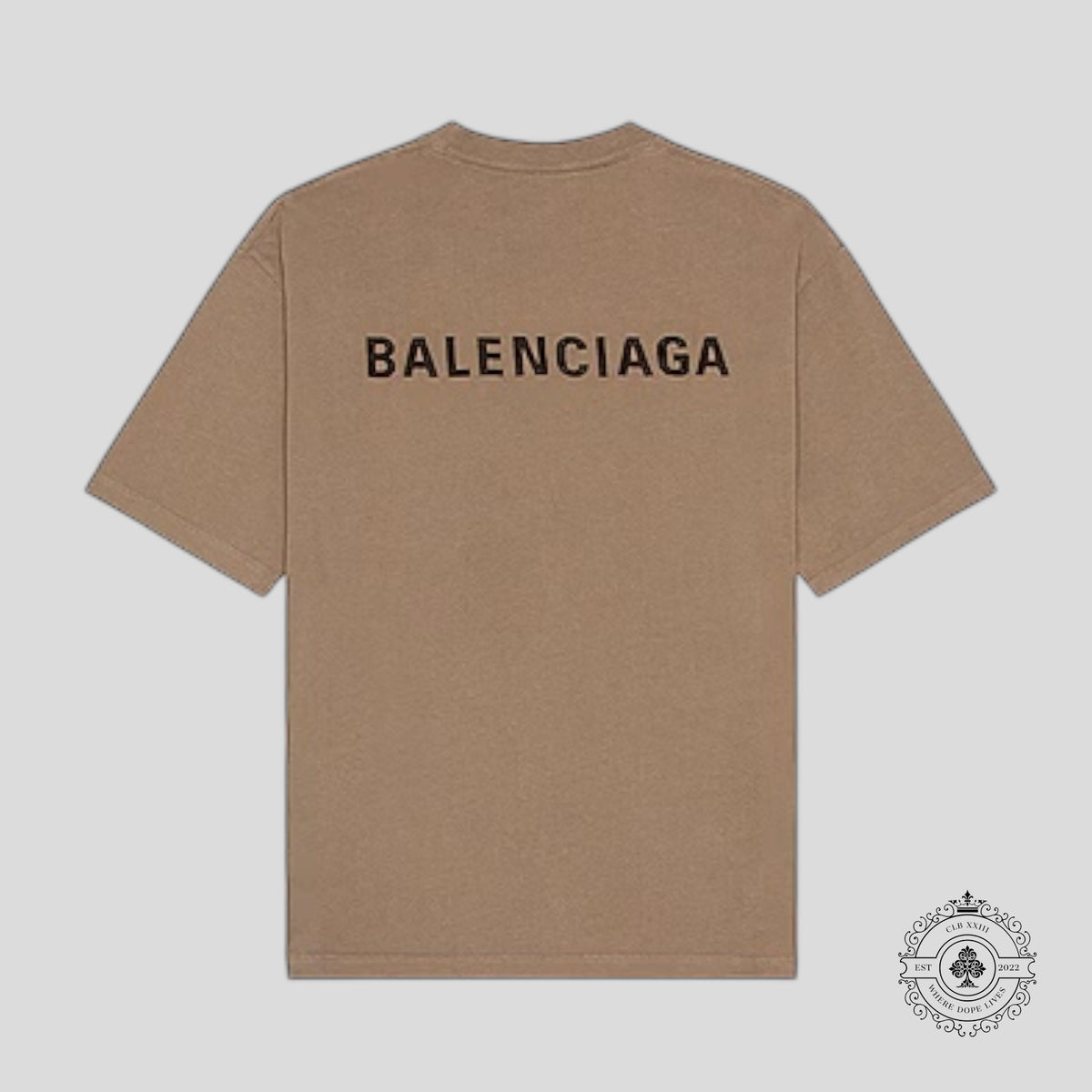 Balenciaga Embroidered T-Shirt in Light Brown