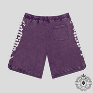 Godspeed CourtSide Shorts in Grape Wash