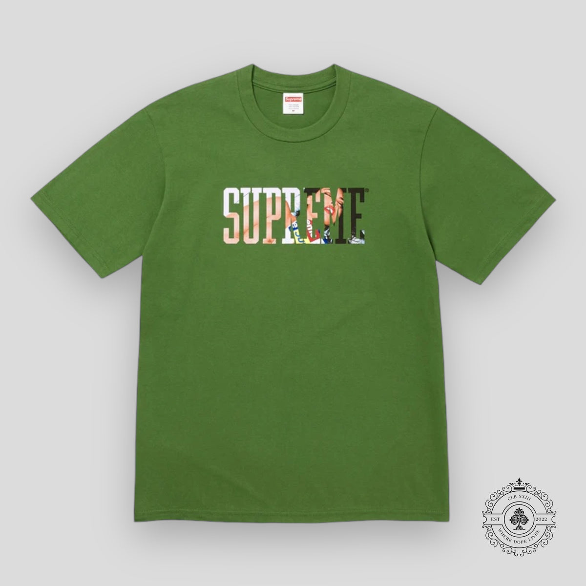 Supreme Tera Patrick Collegiate Tee in Evergreen