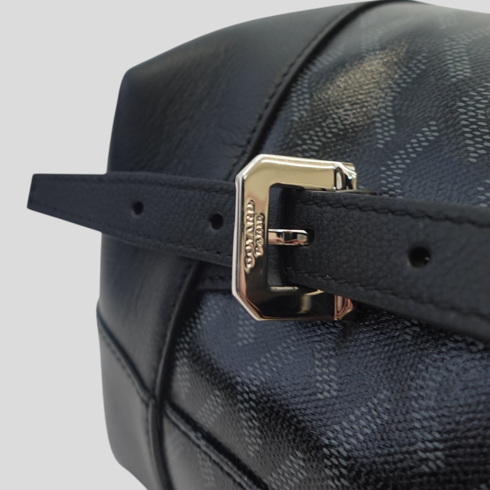 Goyard Jet Black Cisalpin Backpack