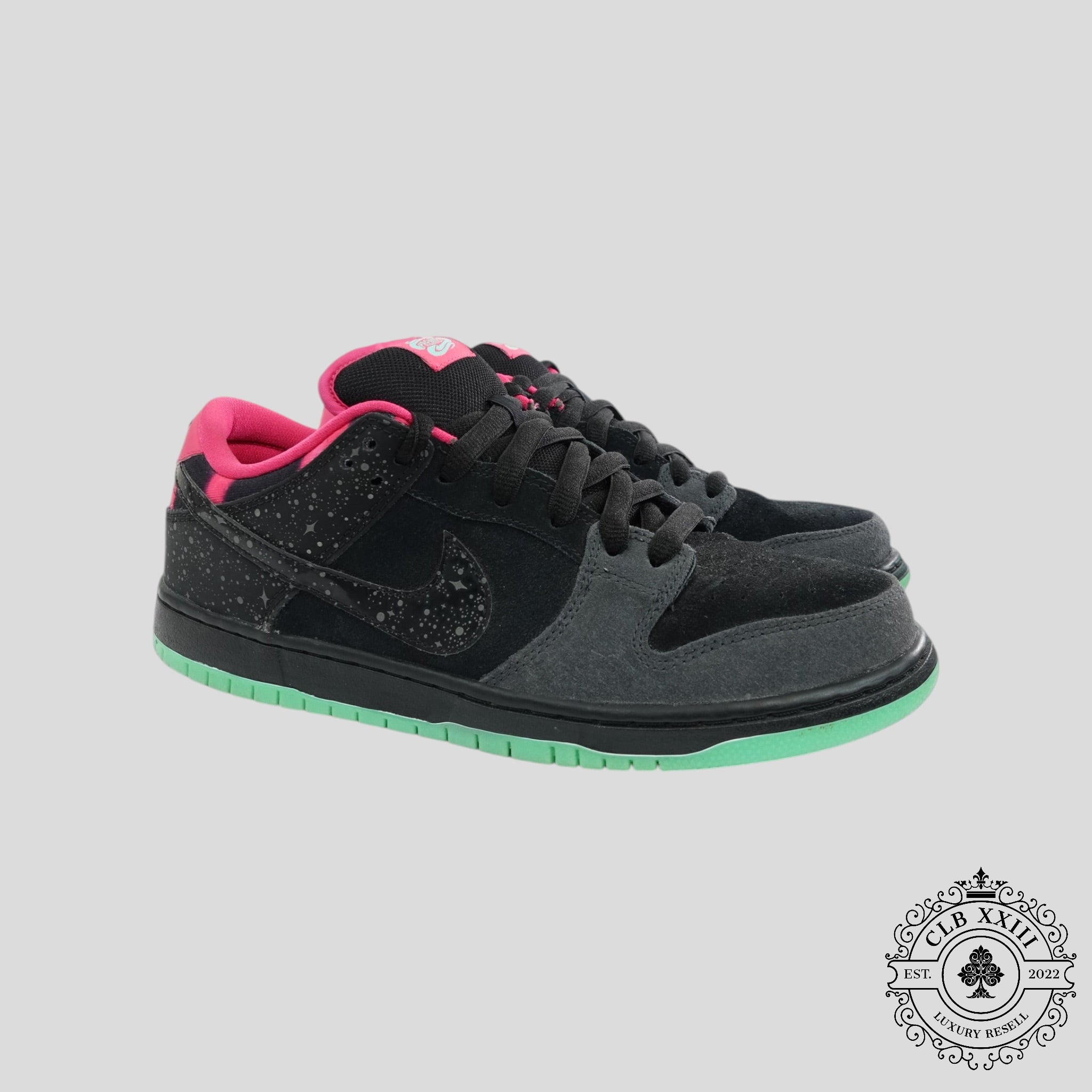 Nike SB Dunk Low Premier Northern Lights