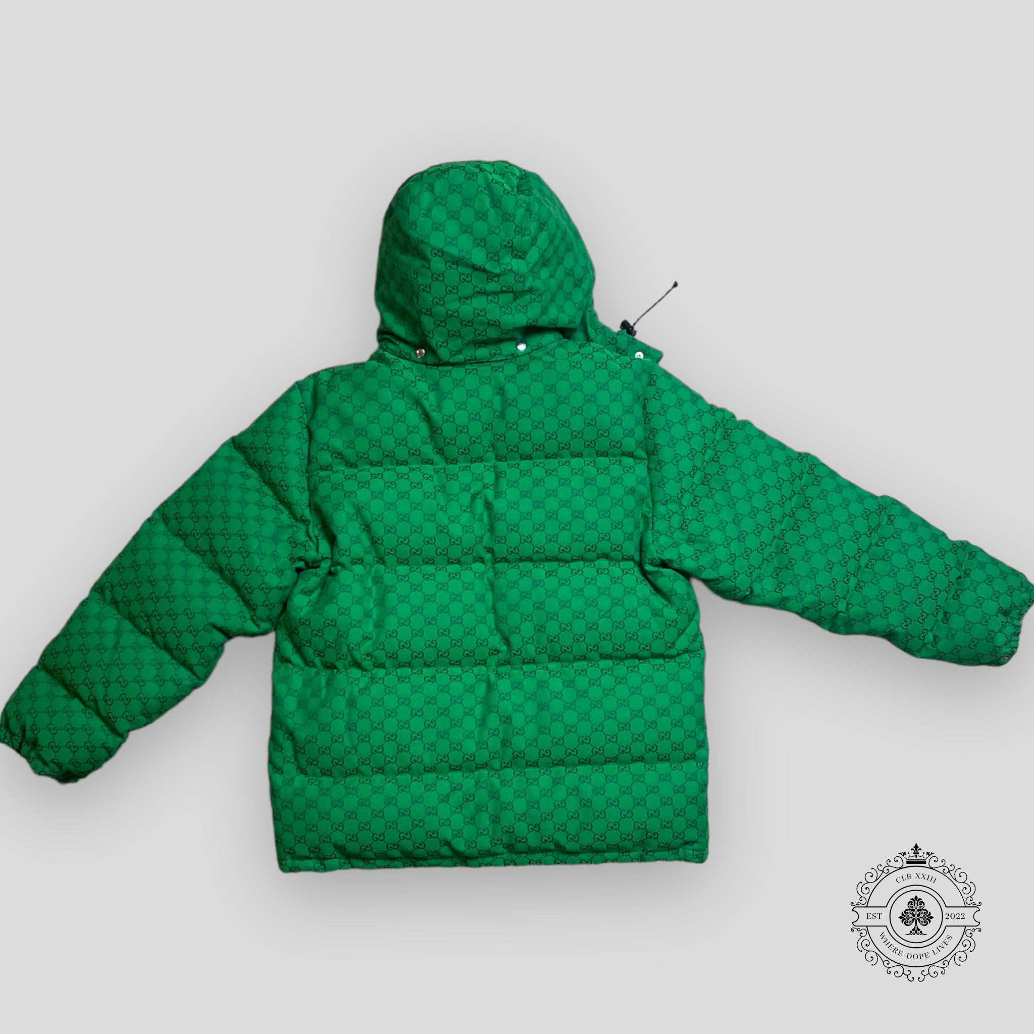 Gucci X North Face Puffer Jacket in Green