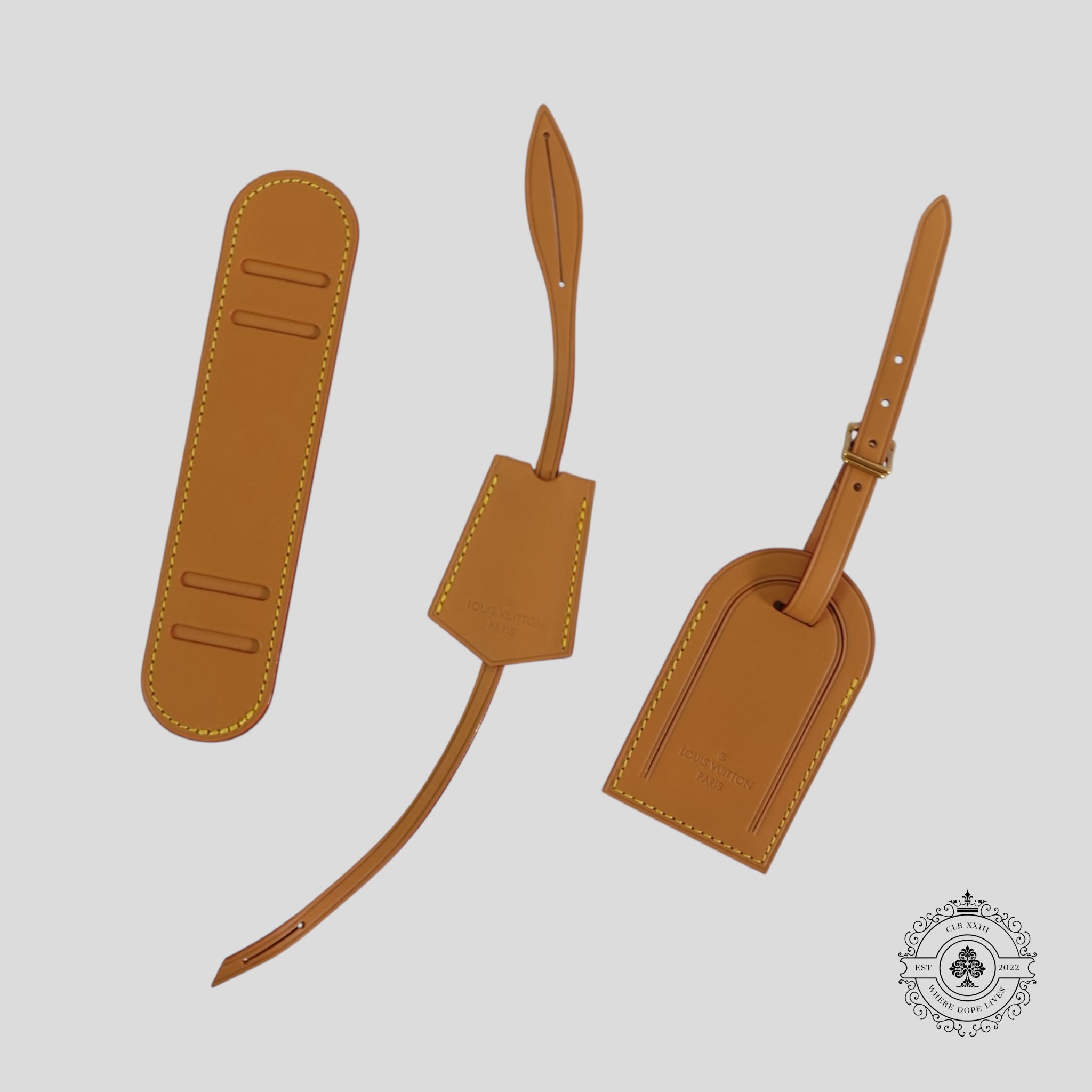 Louis Vuitton Speedy P9 Bandoulière 40 in Turquoise