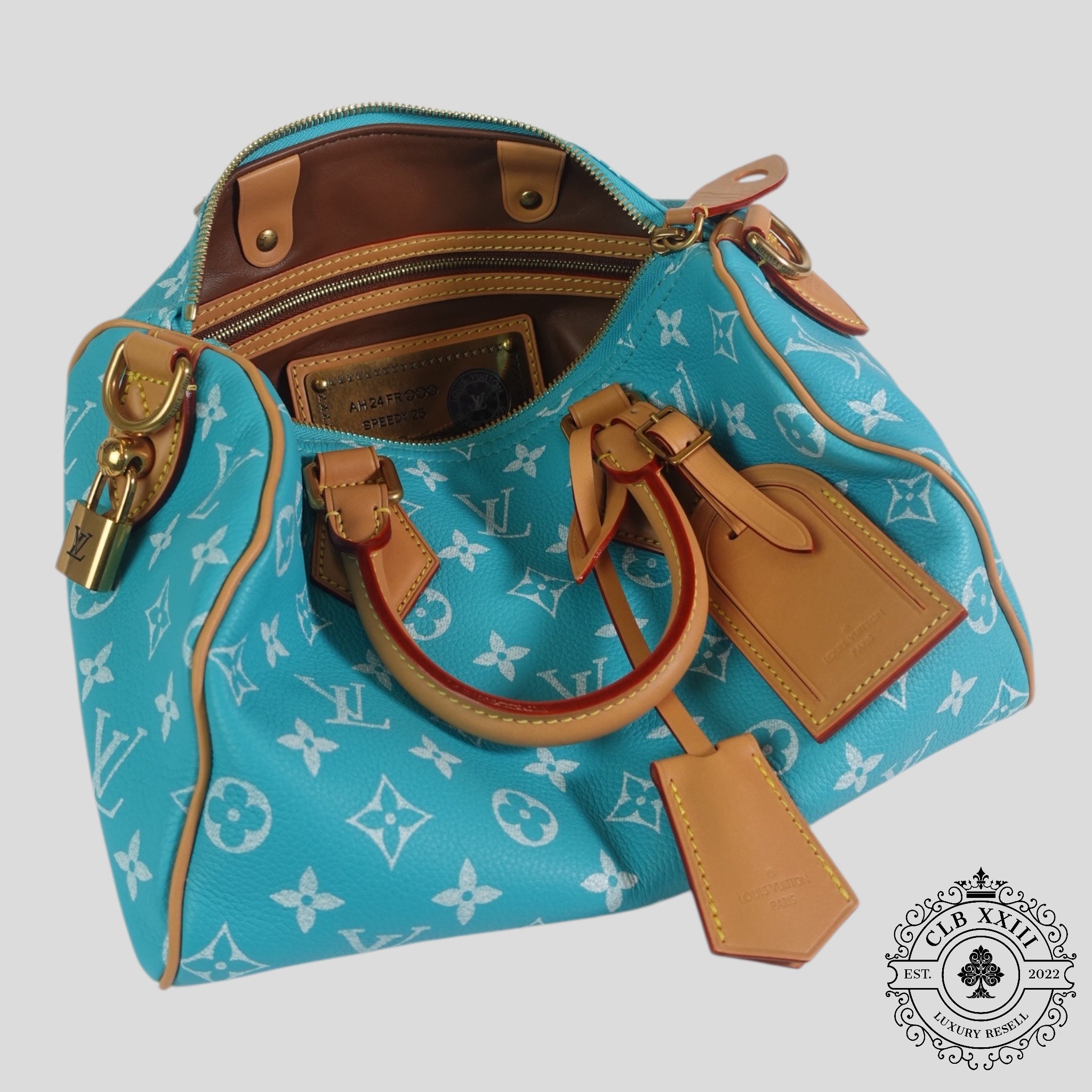 Louis Vuitton Speedy P9 Bandoulière 25 in Turquoise