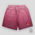 Supreme Gradient Mesh Stripe Shorts in Magenta