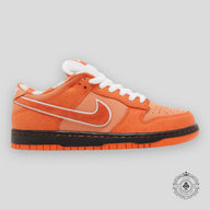 Nike SB Dunk Low Concepts “Orange Lobster”