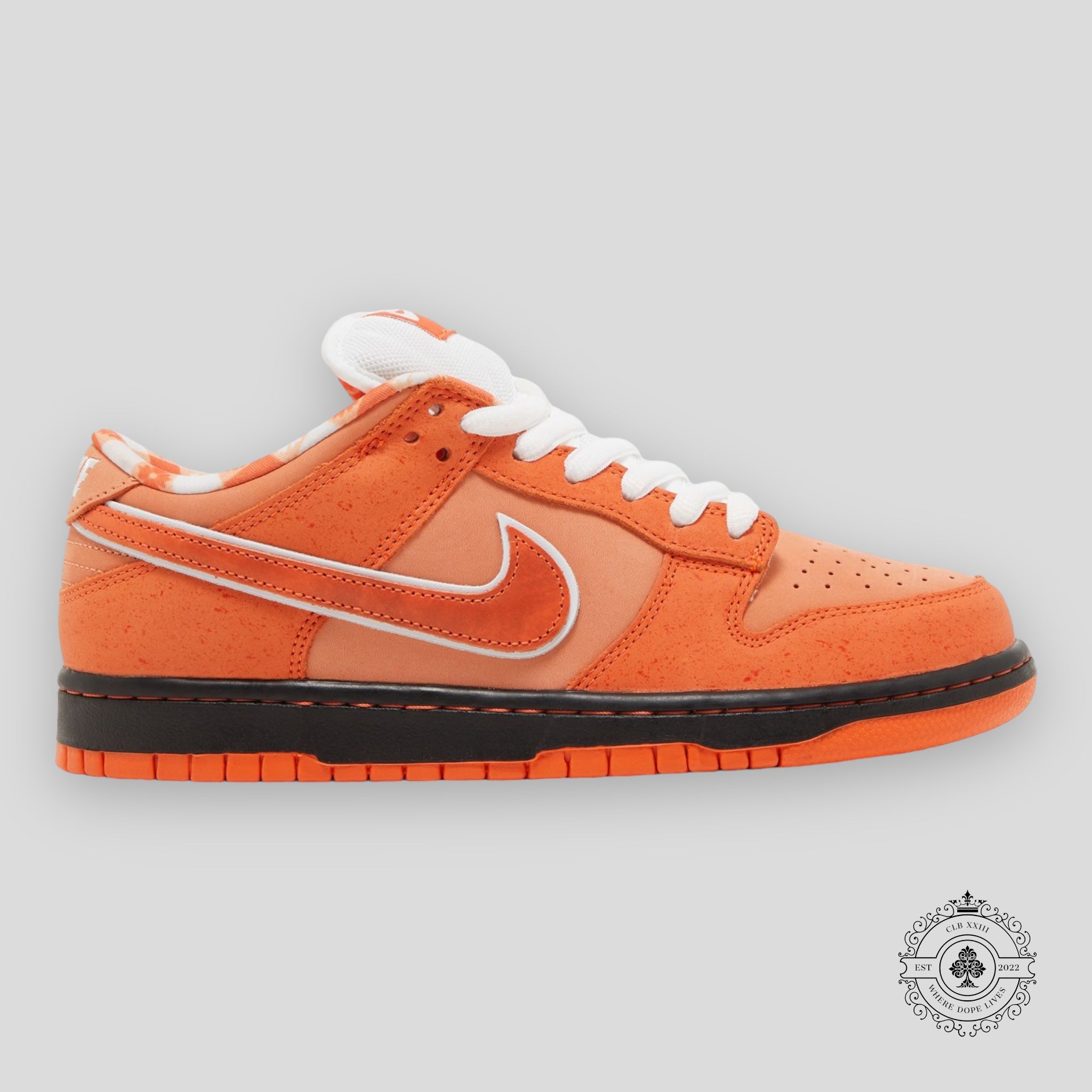 Nike SB Dunk Low Concepts “Orange Lobster”