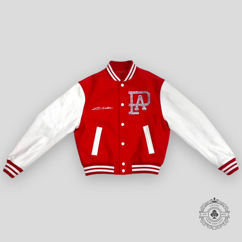 Louis Vuitton Mix Leather Varsity Blouson