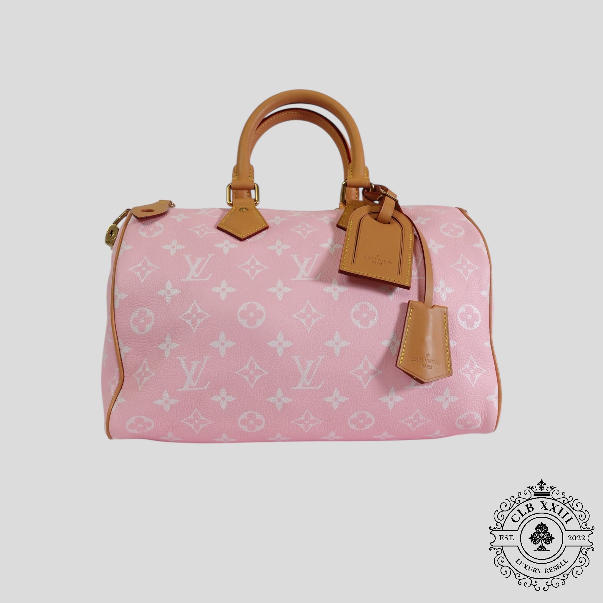 Louis Vuitton Speedy P9 Bandoulière 30 in Candy