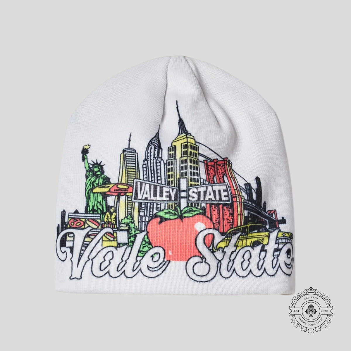 Vale State Beanie in White