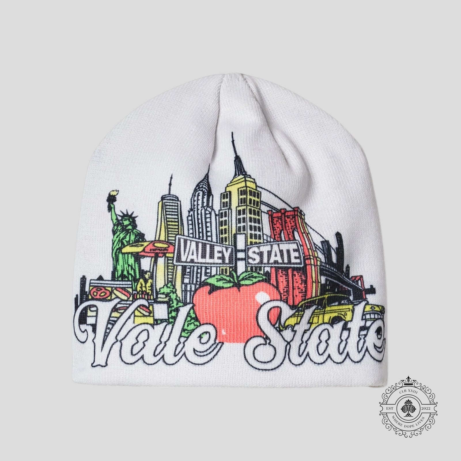 Vale State Beanie in White