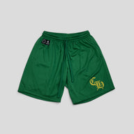 Chrome Hearts Mesh Shorts in Green