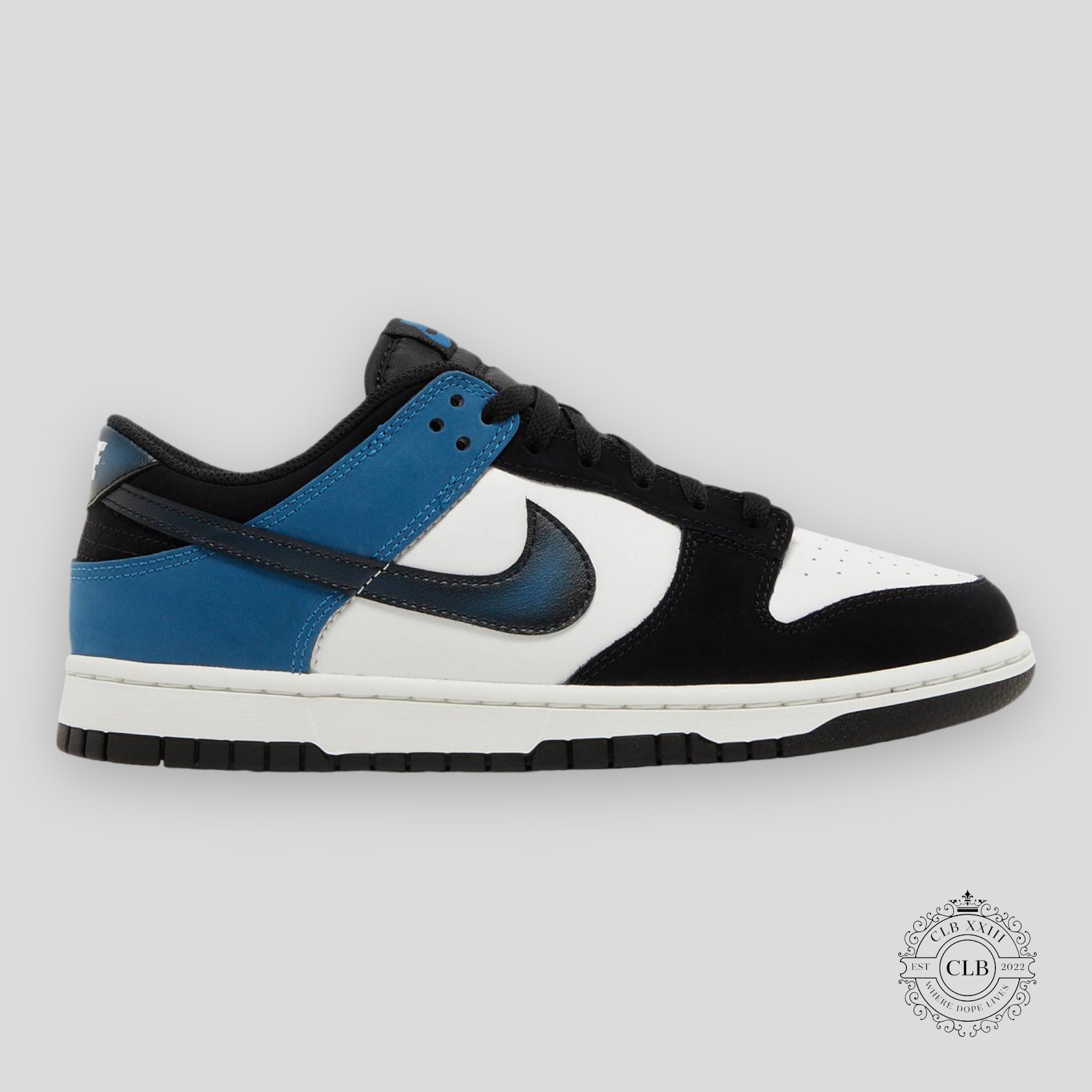 NIKE DUNK LOW "AIRBRUSH - INDUSTRIAL BLUE"