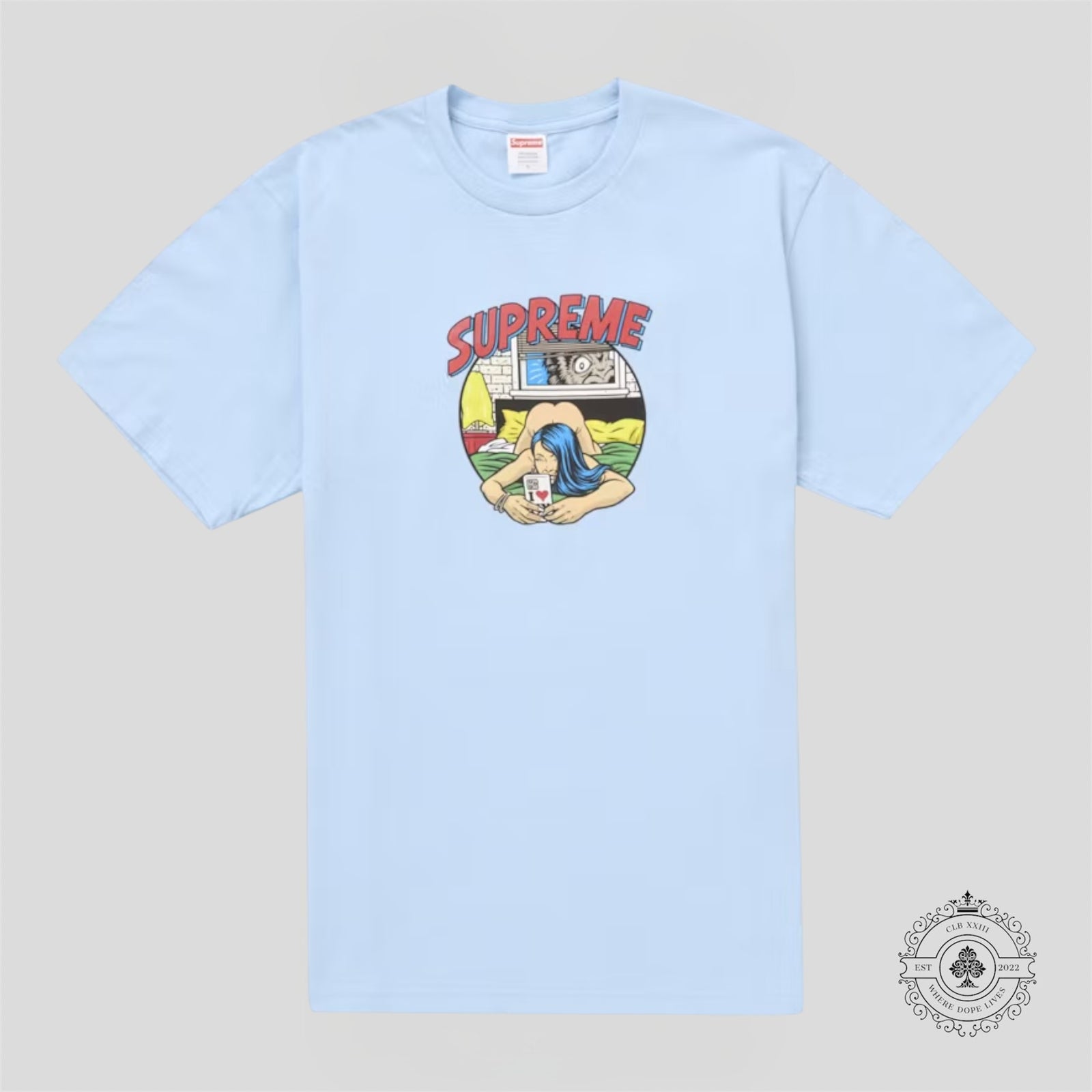Supreme Bedroom T-Shirt in Powder Blue