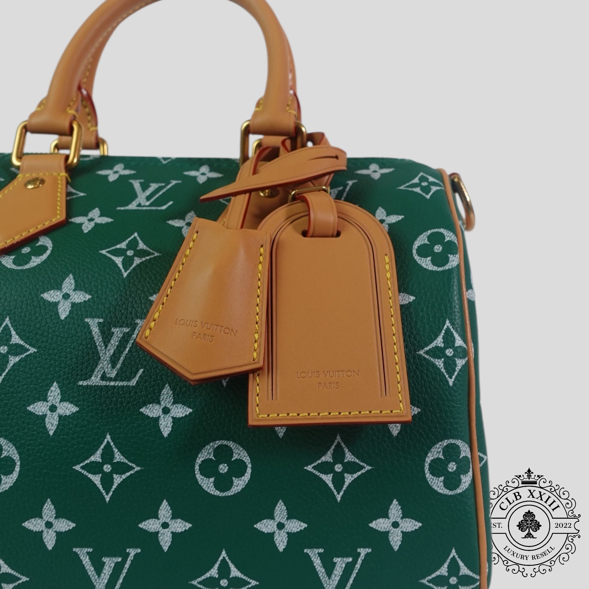 Louis Vuitton Speedy P9 Bandoulière 25 in Green