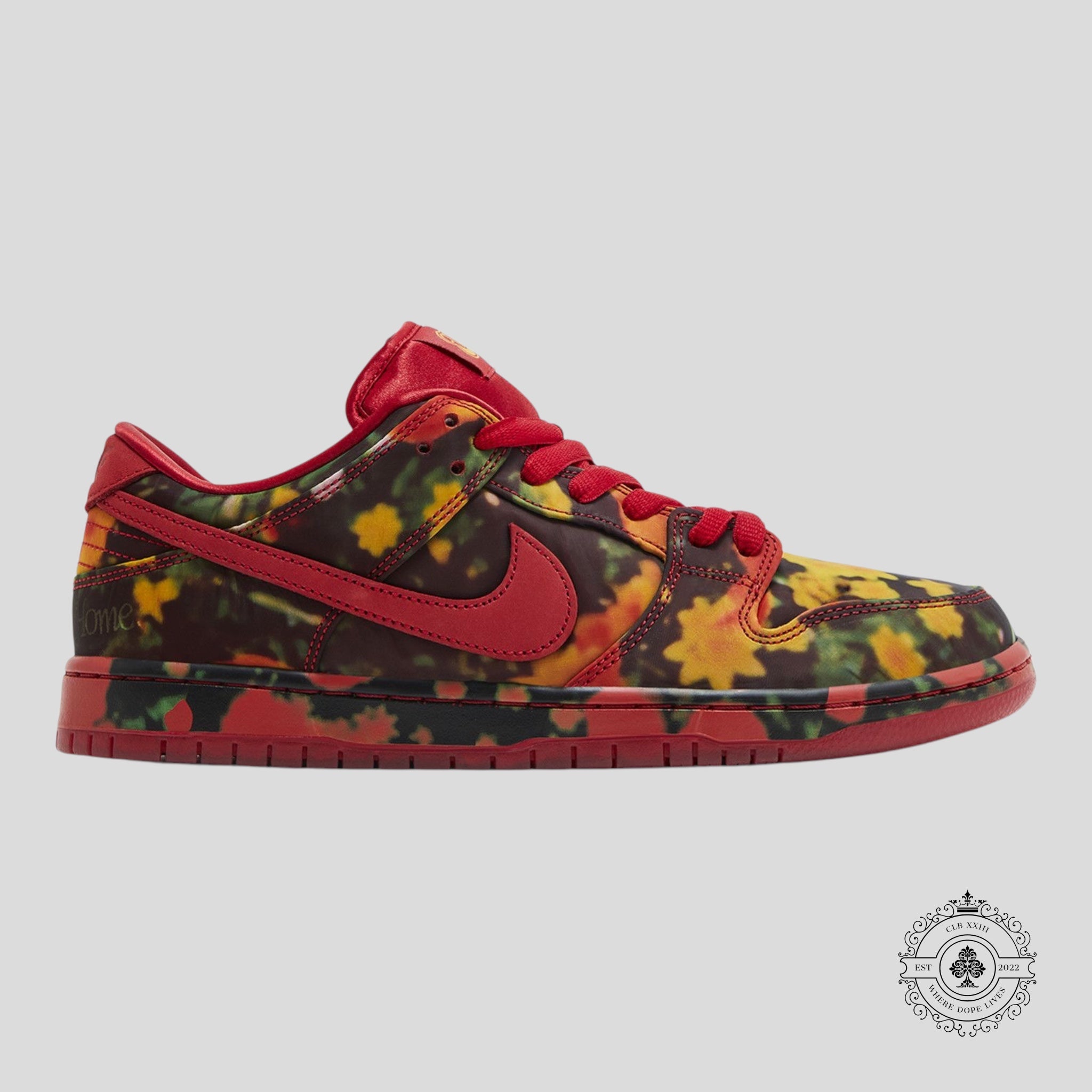 Nike SB Dunk Low The Wizard of Oz Poppy Field