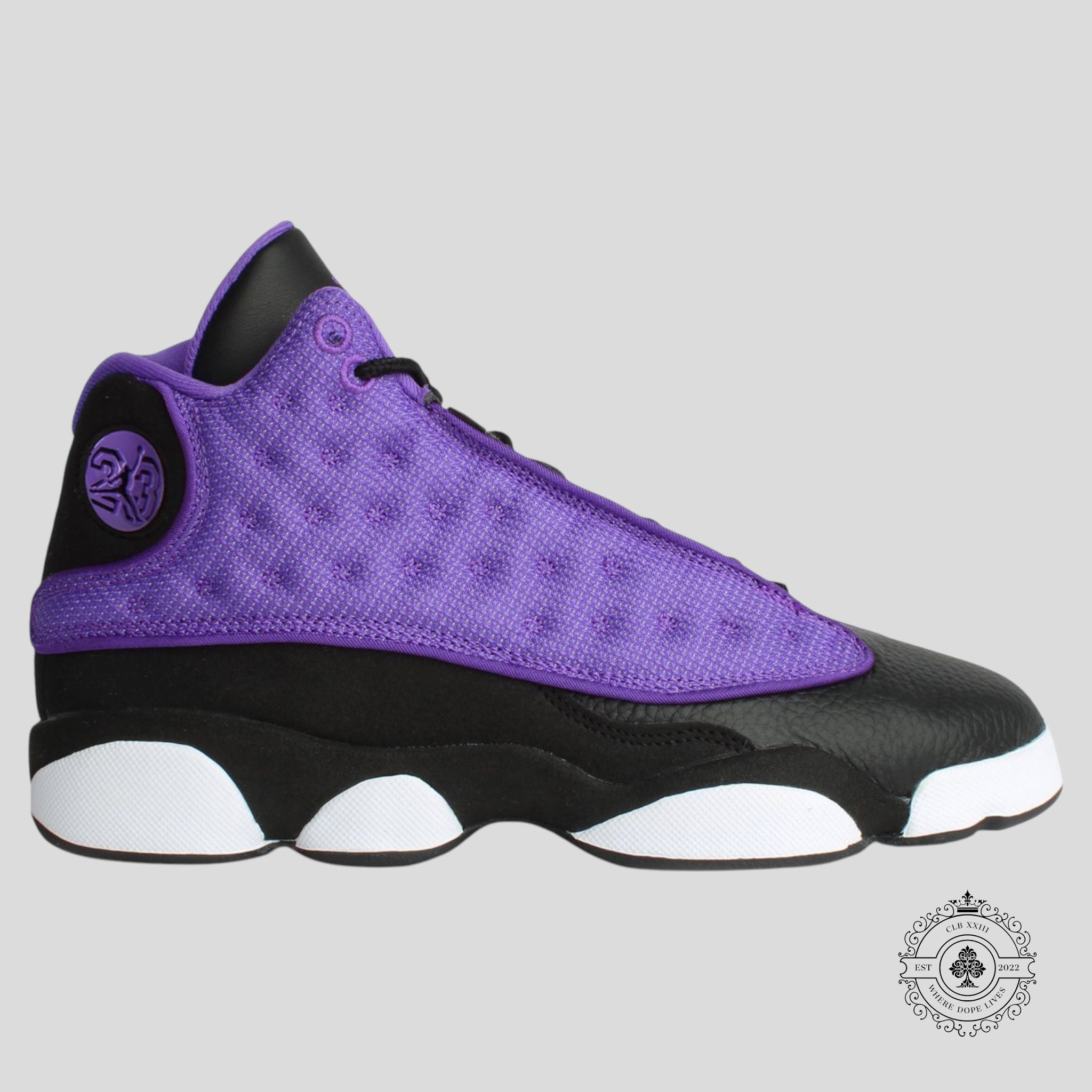 Air Jordan 13 Retro GS Purple Venom