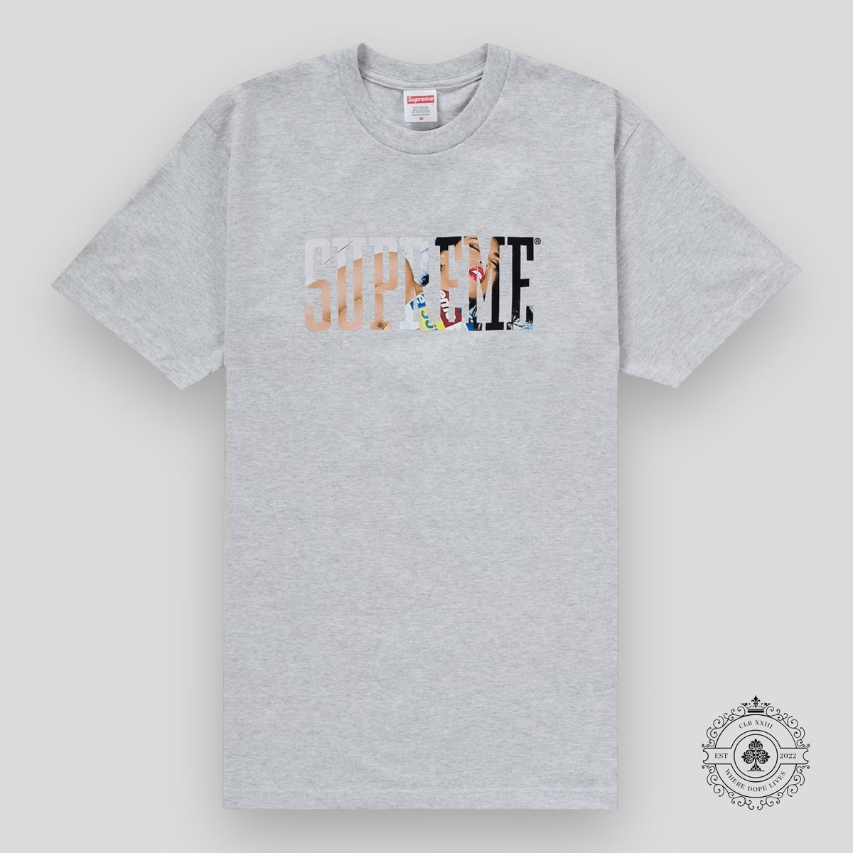 Supreme Tera Patrick Collegiate Tee in Ash Grey