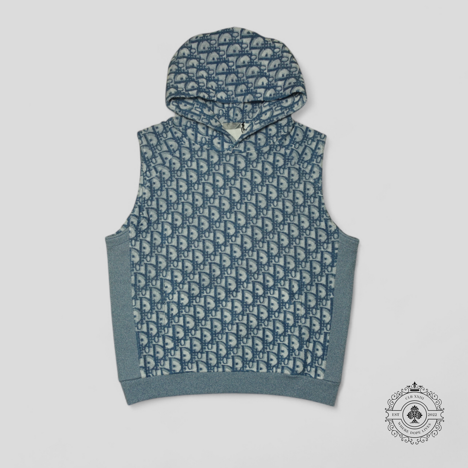 Dior Oblique Terrycloth Sleeveless Hoodie in Blue/White