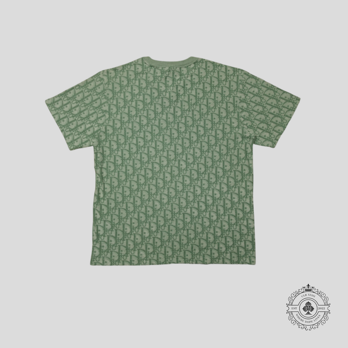 Dior Oblique Terrycloth T-Shirt in Green/White