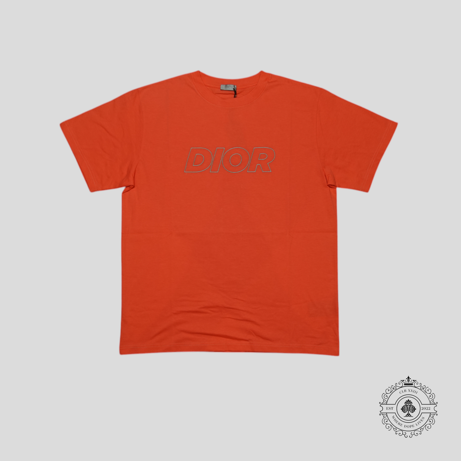 Dior Embroidered Italic Logo T-Shirt in Orange