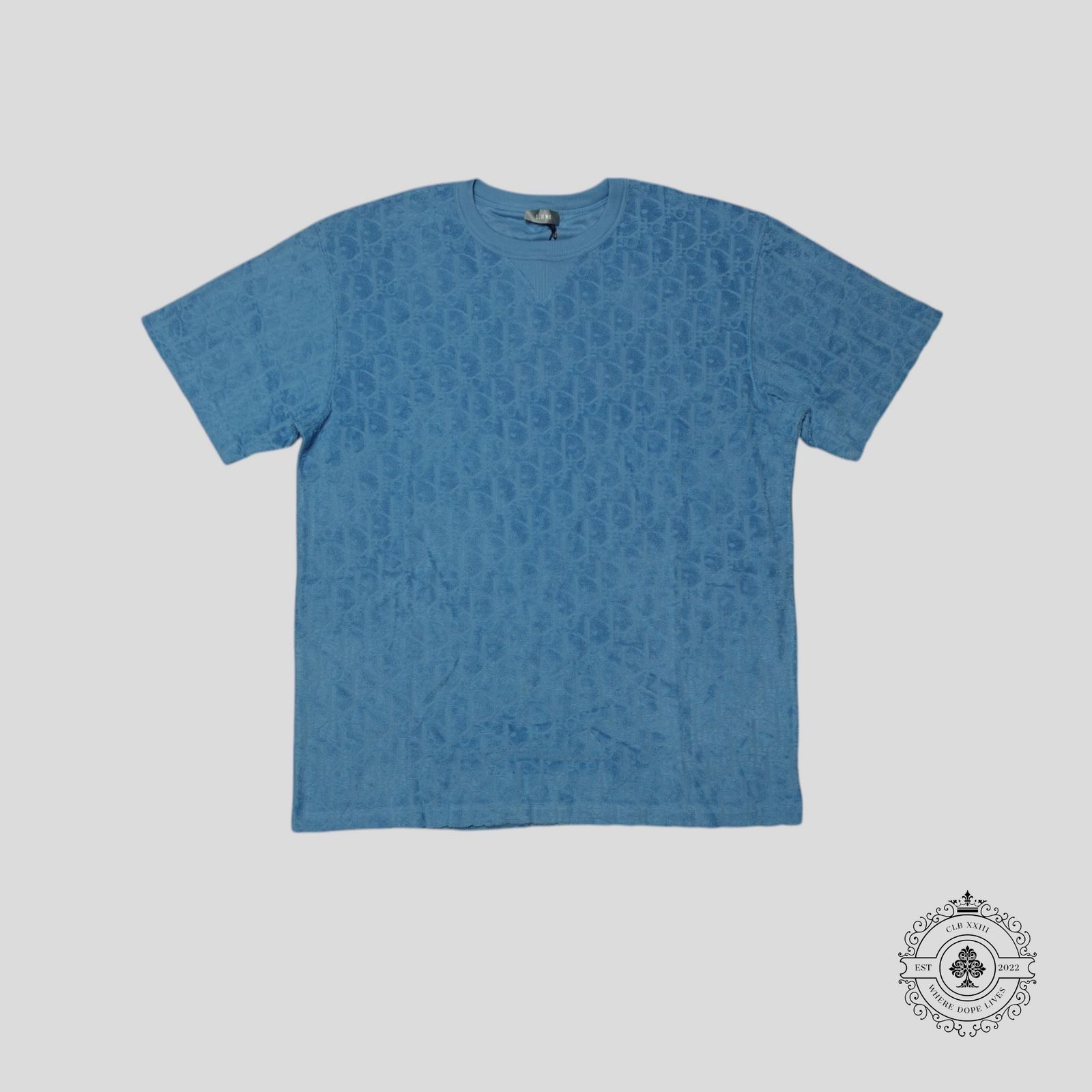 Dior Oblique Terrycloth T-Shirt in Blue