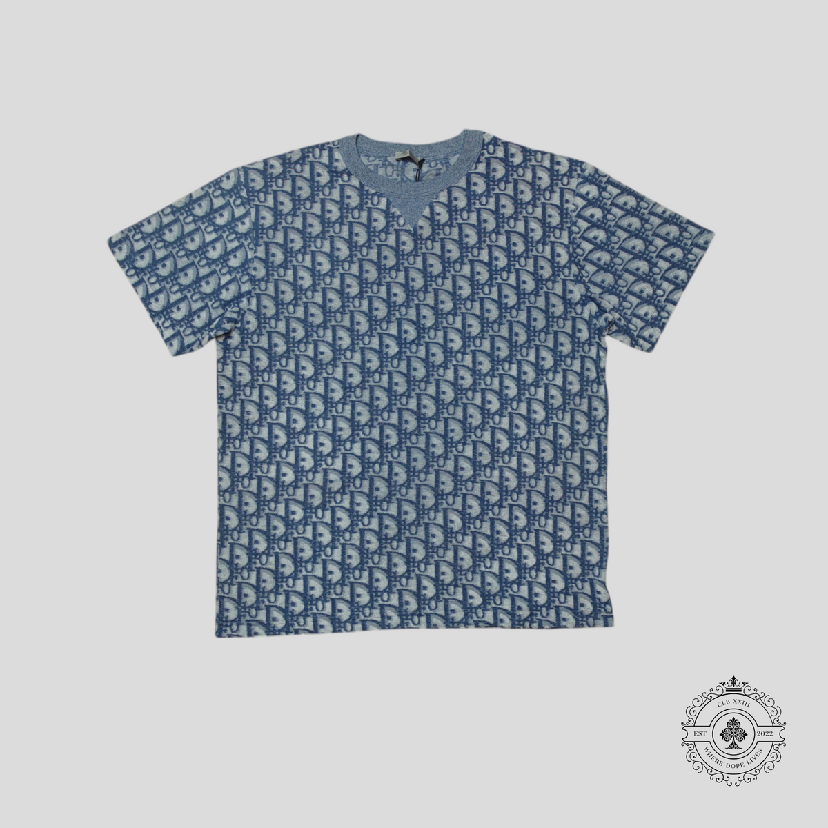 Dior Oblique Terrycloth T-Shirt in Blue/White