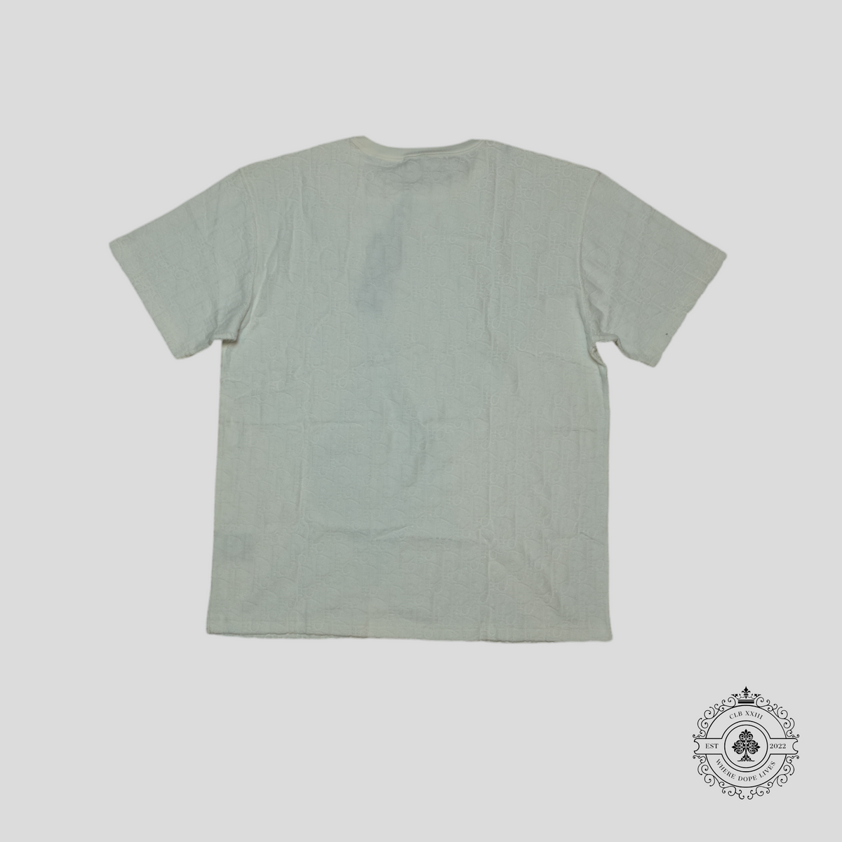 Dior Oblique Terrycloth T-Shirt in White