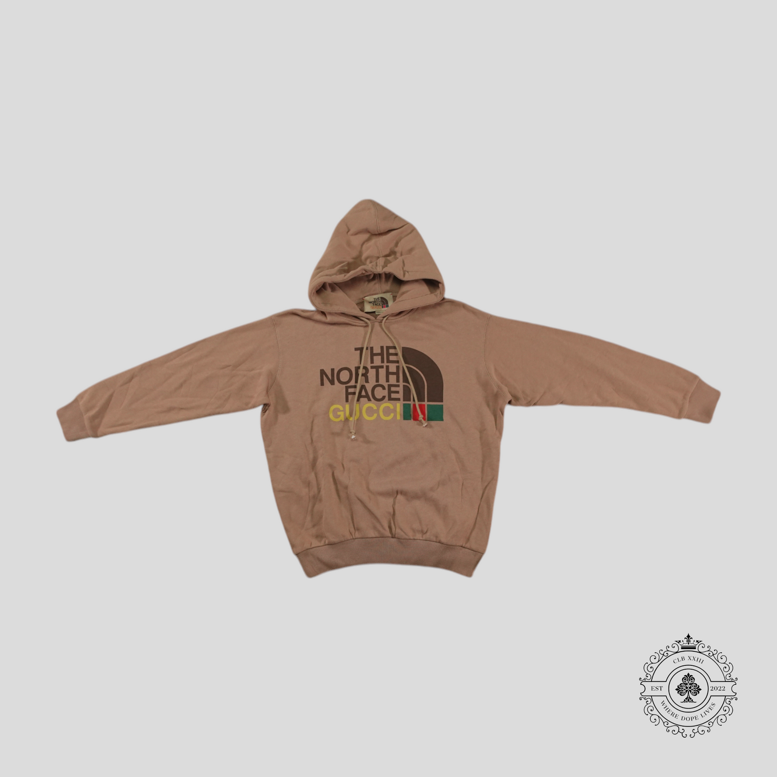 Gucci x the North Face Hoodie in Brown