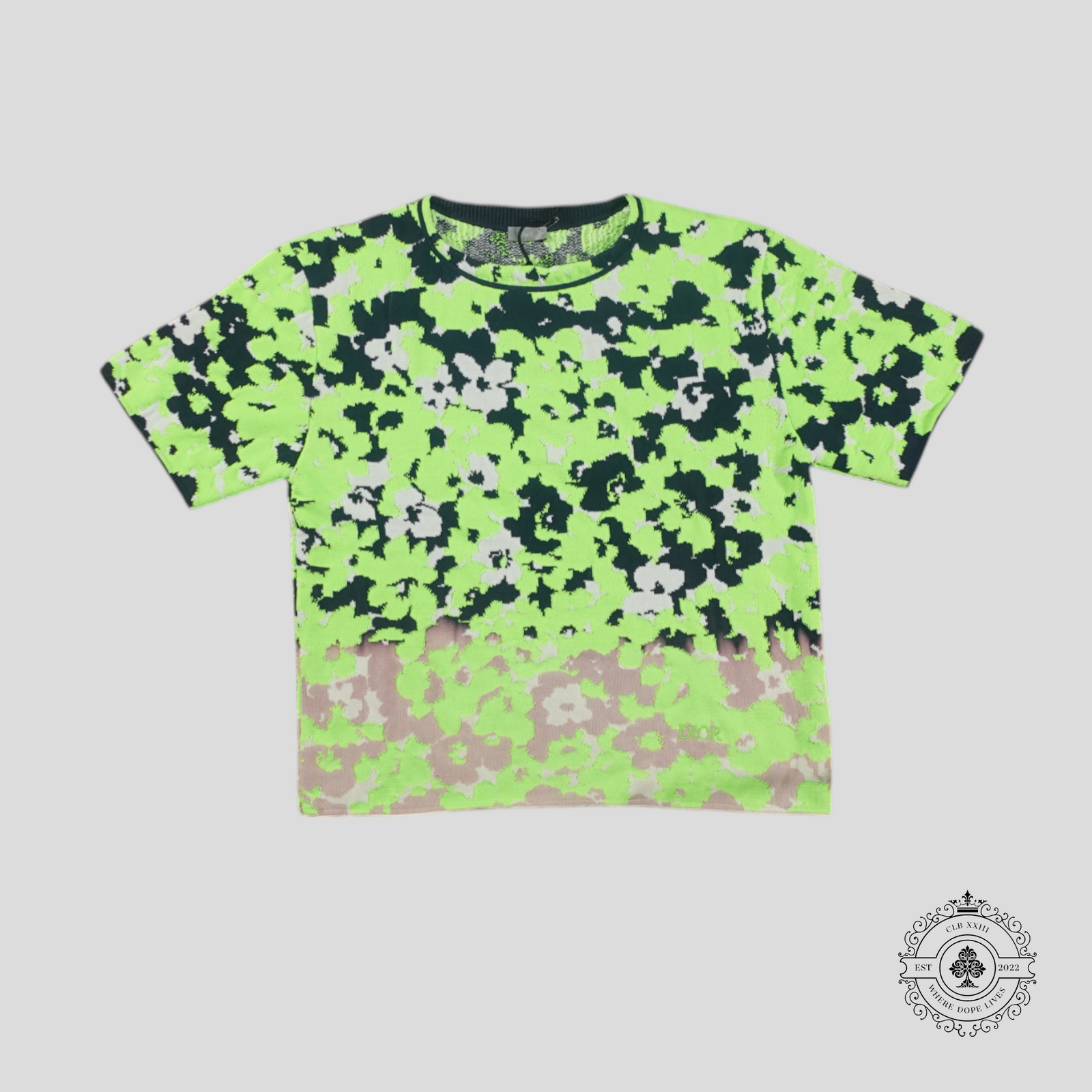 Dior Floral Intarsia Knit T-Shirt in Green/Blue