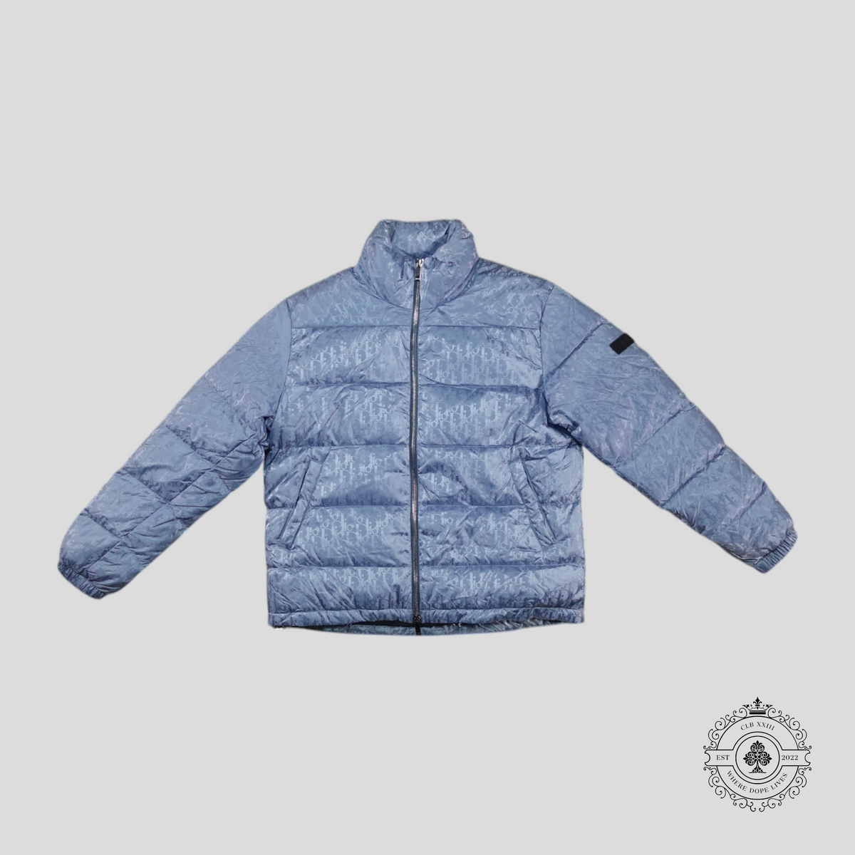 Dior Oblique Goose Down Puffer Jacket in Light Blue