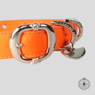 Chrome Hearts Leather Dog Collar in Orange