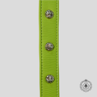 Chrome Hearts Leather Dog Collar in Green