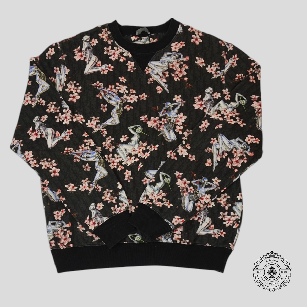 Dior Sorayama Oblique Robot Crewneck in Black