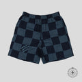 Louis Vuitton Damier Silk Shorts in Blue