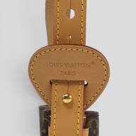 Louis Vuitton All in BB Monogram Handbag in Brown