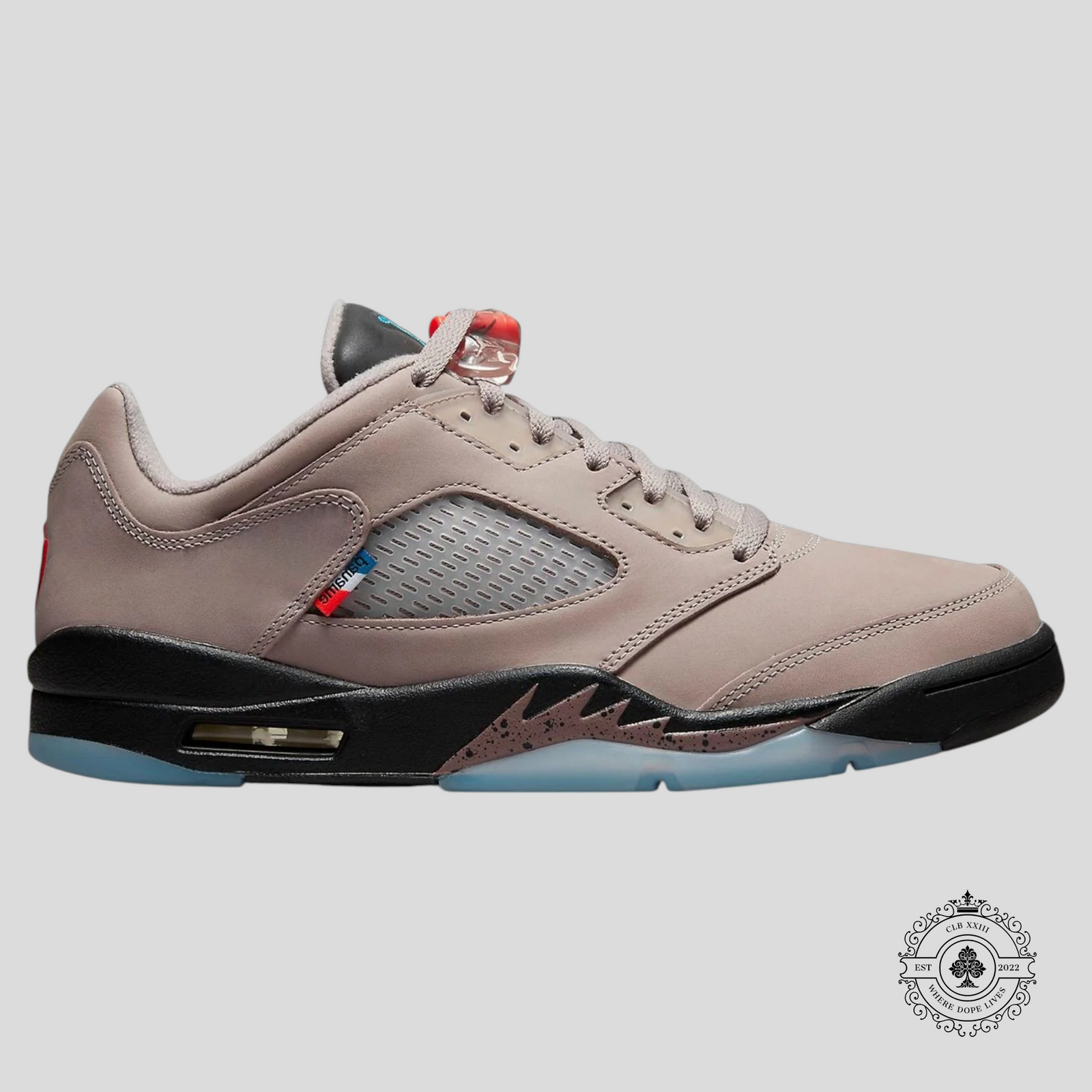 Air Jordan 5 Retro Low PSG (2022)