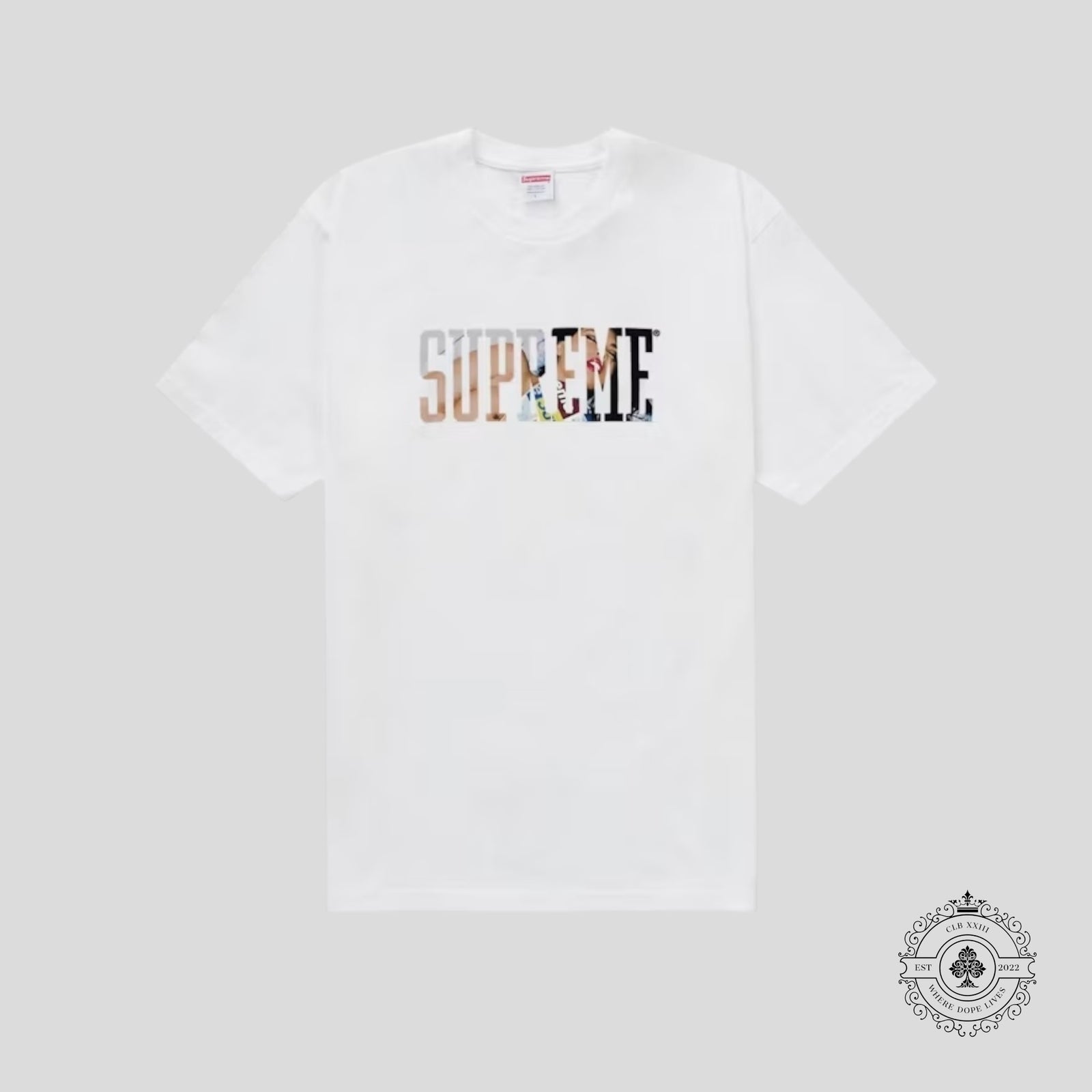 Supreme Tera Patrick Collegiate Tee in White