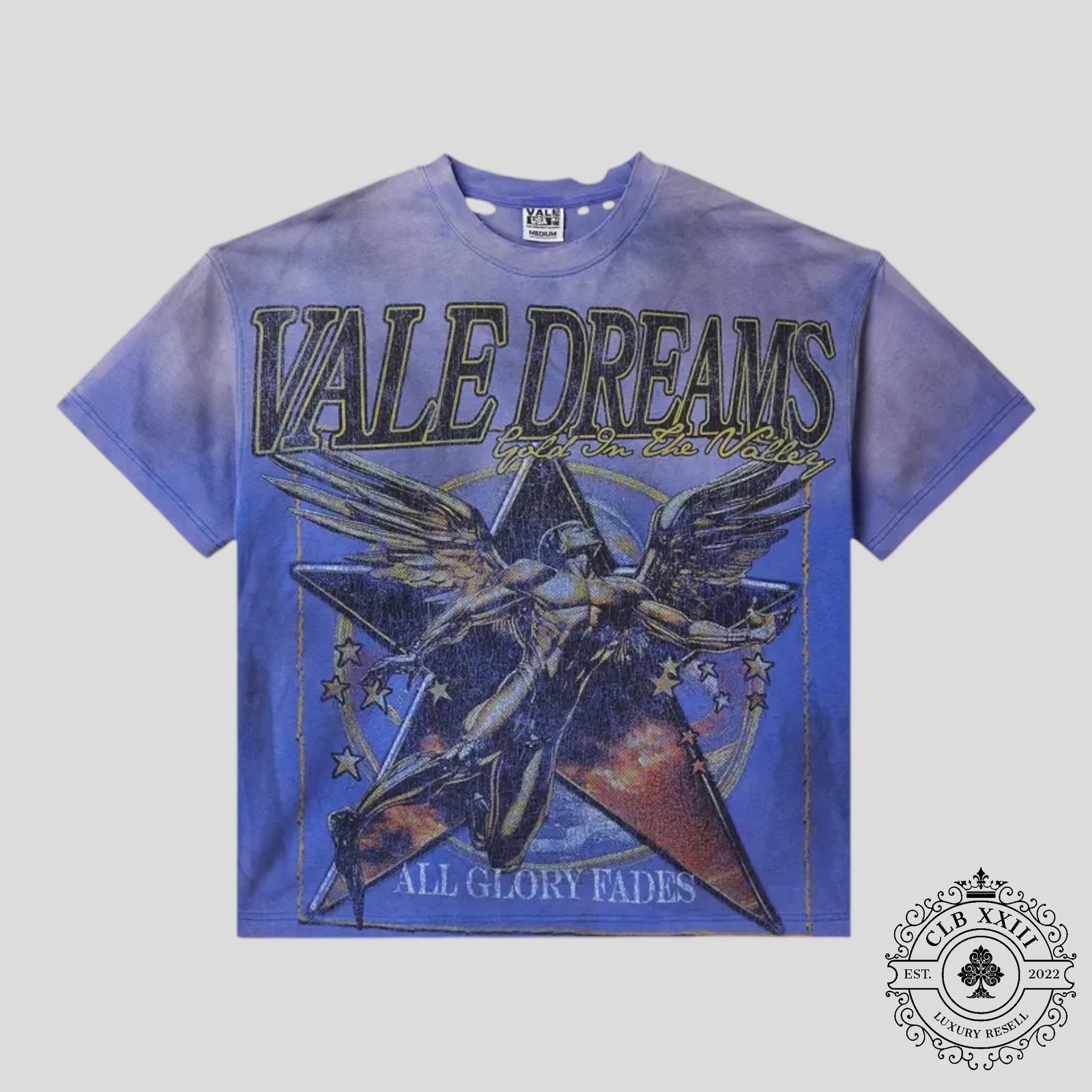 Vale Forever Glory Tee in Blue